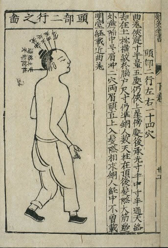 acupuncture chart3