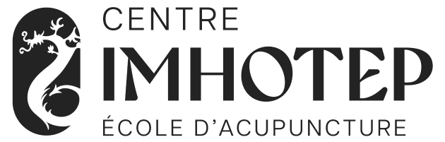 Centre Imhotep logo noir