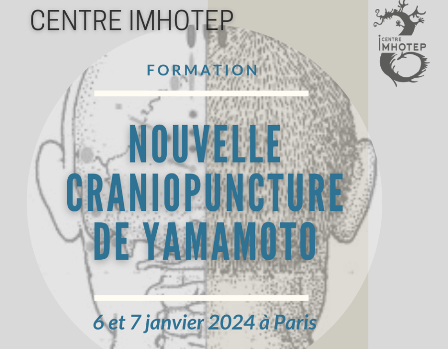 la nouvelle craniopuncture de yamamoto